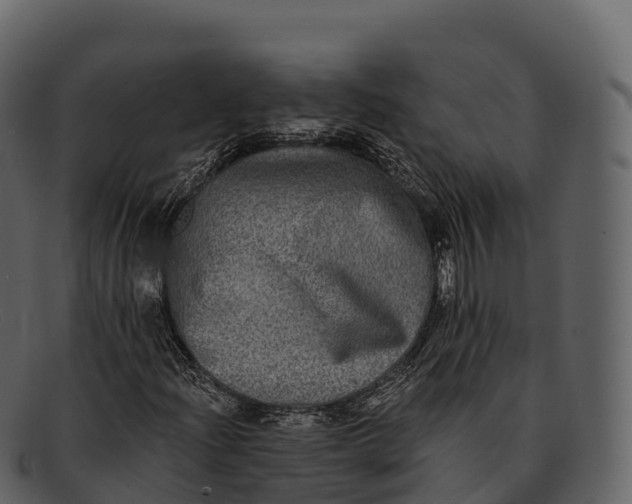 X0000092321204200710051250