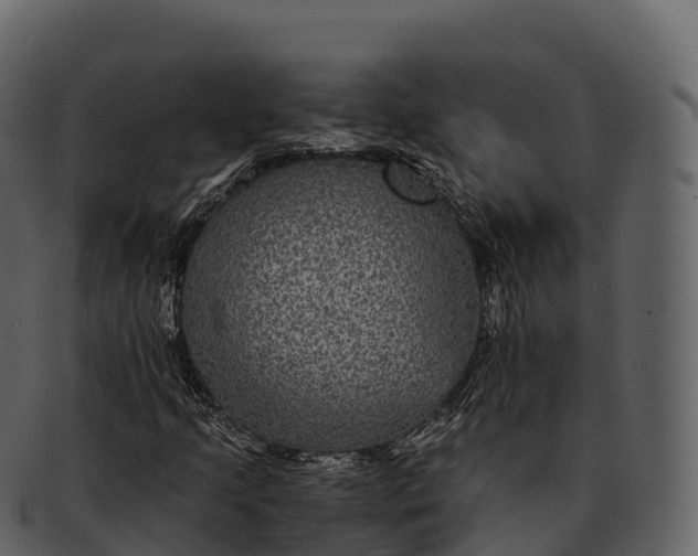 X0000092321205200710051250