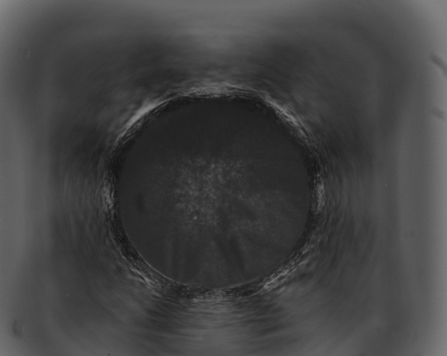 X0000092321206200710051250