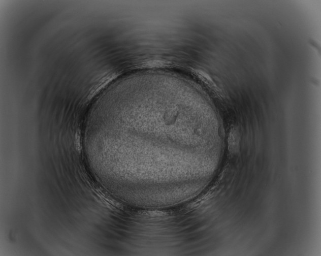 X0000092321209200710051250