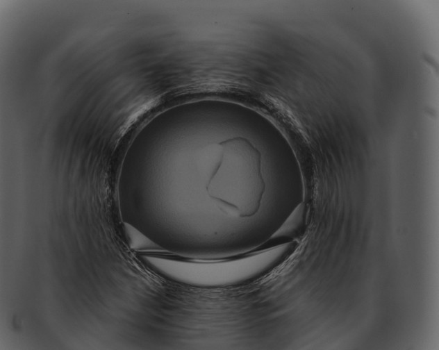 X0000092321210200710051250