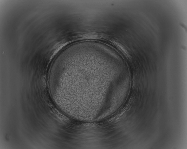 X0000092321212200710051250