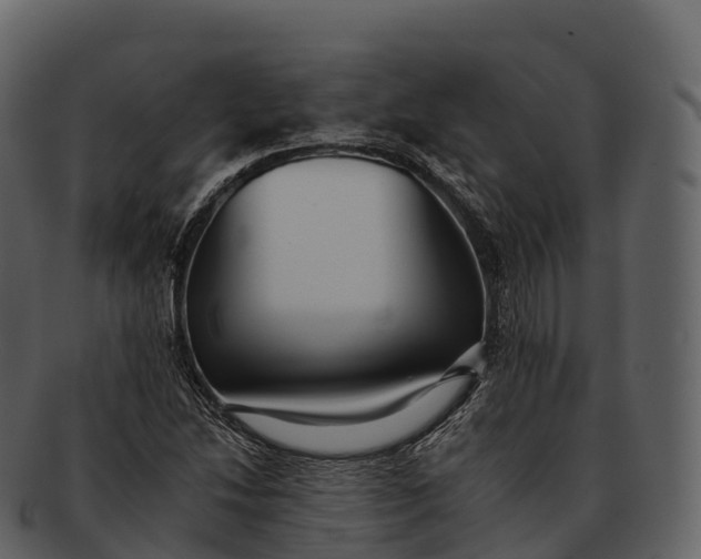 X0000092321214200710051250