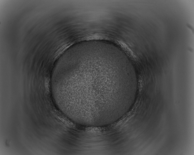 X0000092321217200710051250