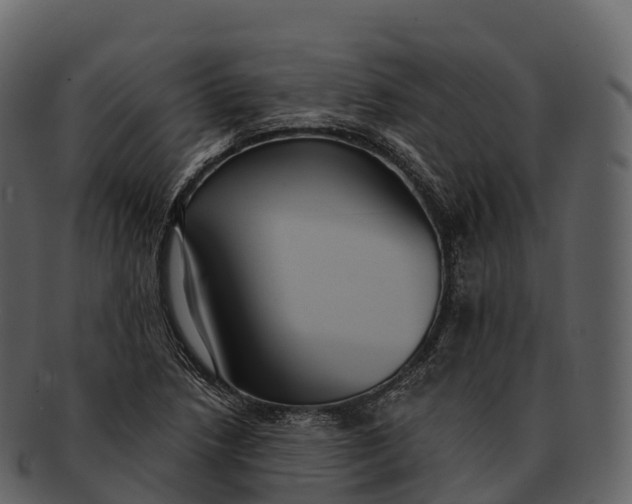 X0000092321218200710051250
