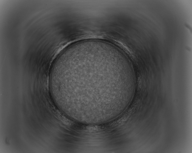 X0000092321220200710051250