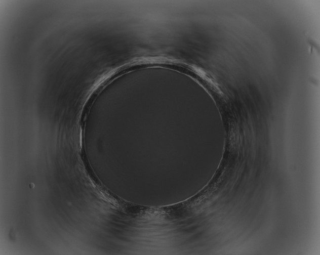 X0000092321221200710051250