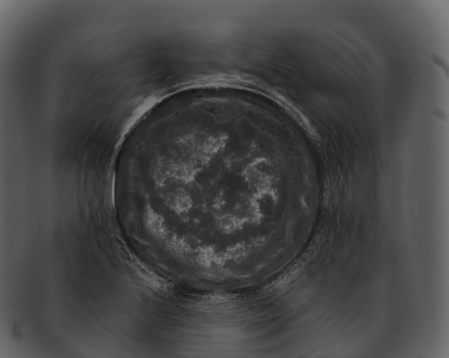 X0000092321224200710051250