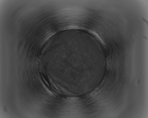X0000092321225200710051250