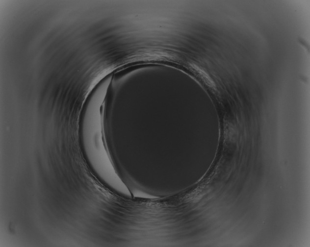 X0000092321226200710051250