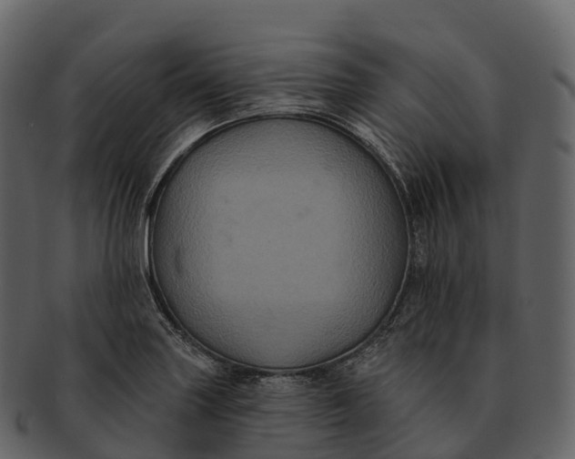 X0000092321227200710051250