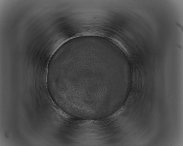 X0000092321228200710051250