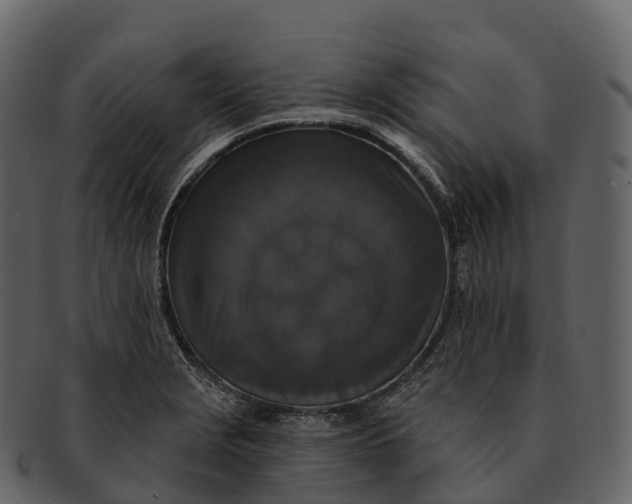 X0000092321229200710051251
