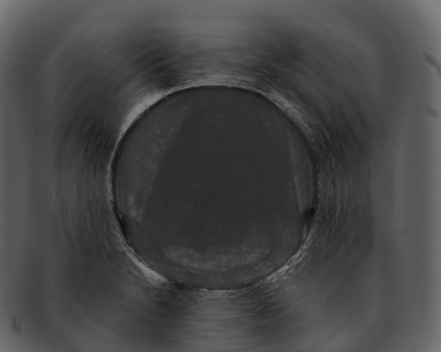 X0000092321230200710051251