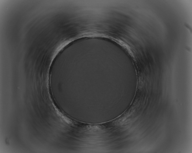 X0000092321231200710051251