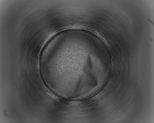 X0000092321232200710051251