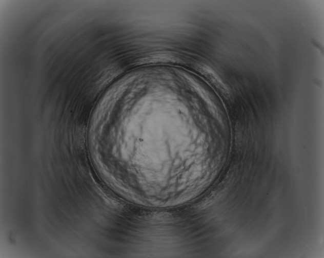 X0000092321233200710051251