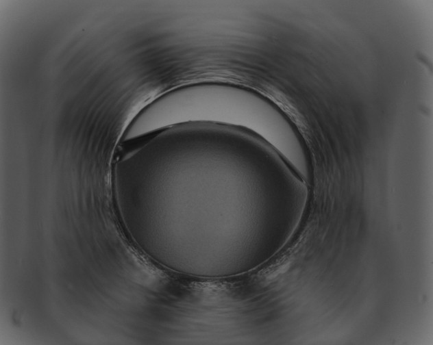 X0000092321234200710051251