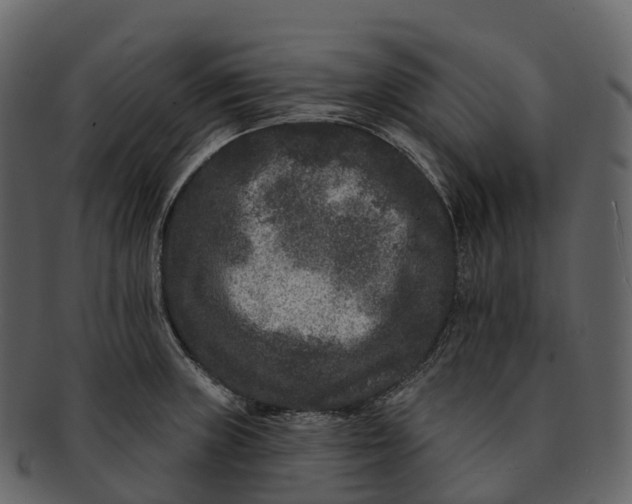 X0000092321235200710051251