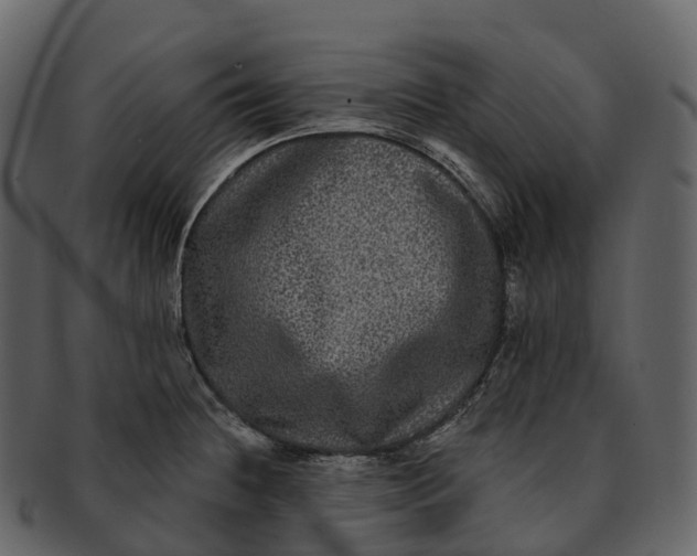 X0000092321236200710051251
