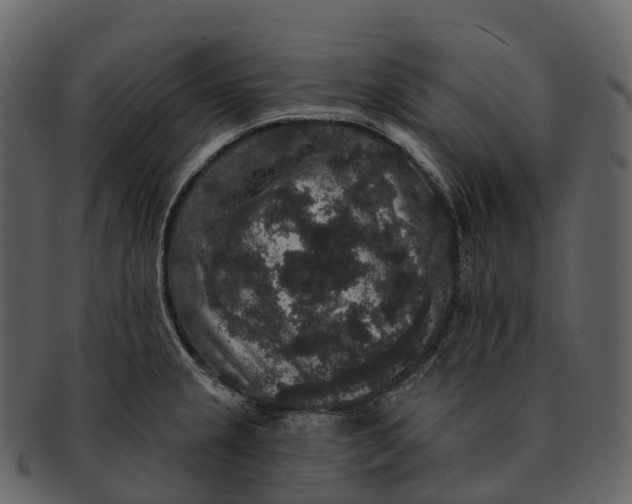 X0000092321237200710051251