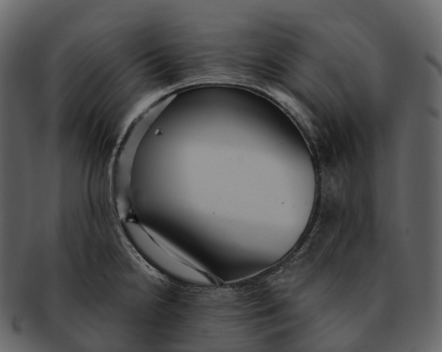 X0000092321238200710051251