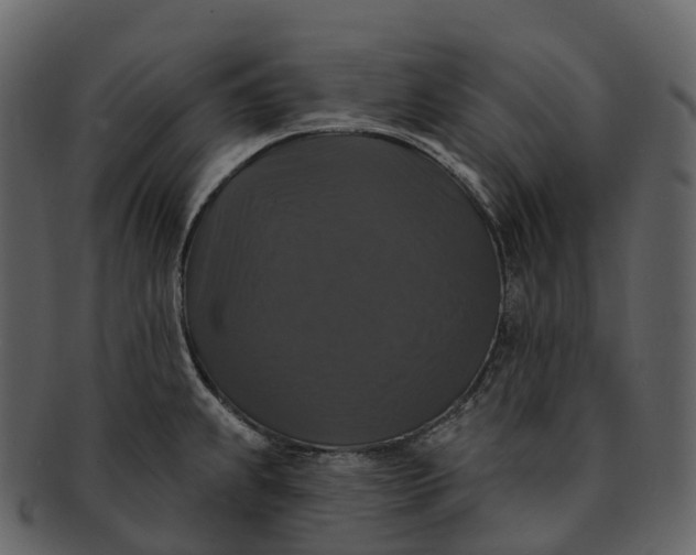 X0000092321239200710051251