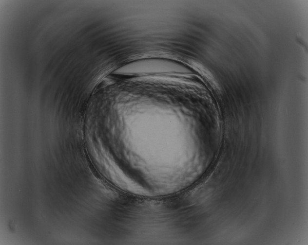 X0000092321241200710051251