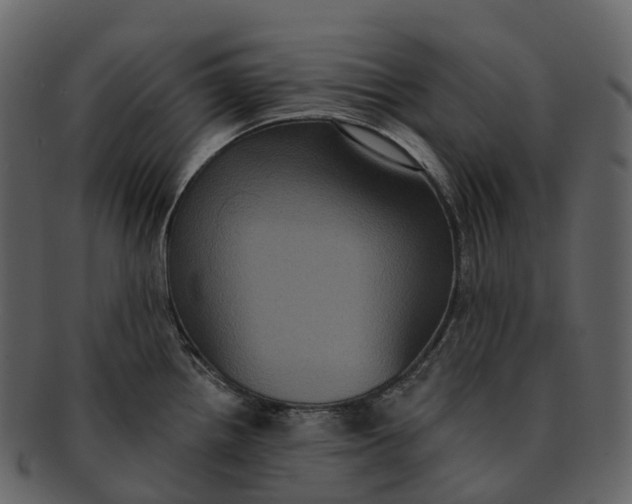 X0000092321242200710051251