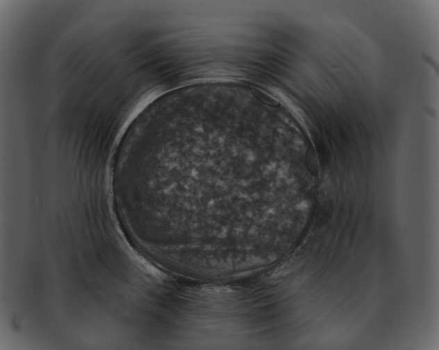 X0000092321243200710051251