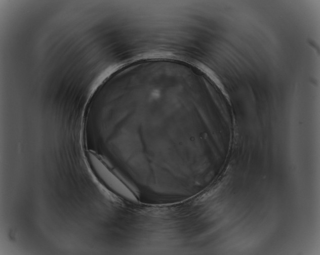 X0000092321245200710051251