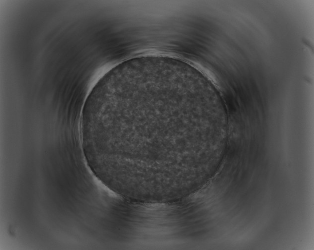 X0000092321247200710051251