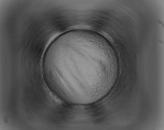 X0000092321248200710051251