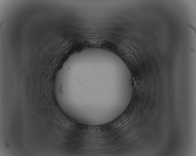 X0000092321249200710051250