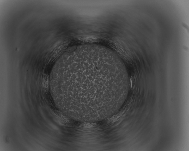 X0000092321251200710051250