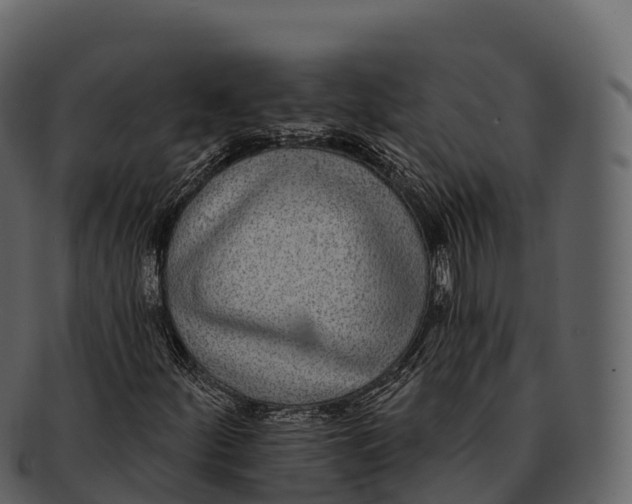 X0000092321252200710051250