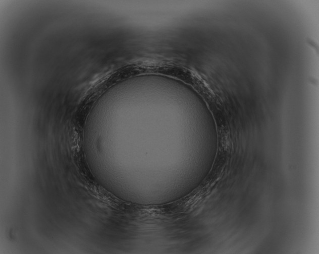 X0000092321253200710051250