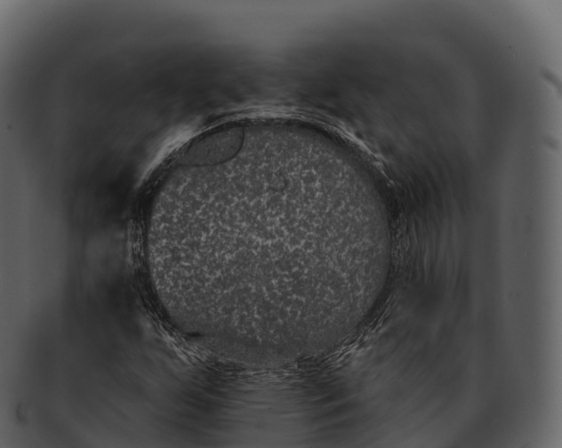 X0000092321255200710051250