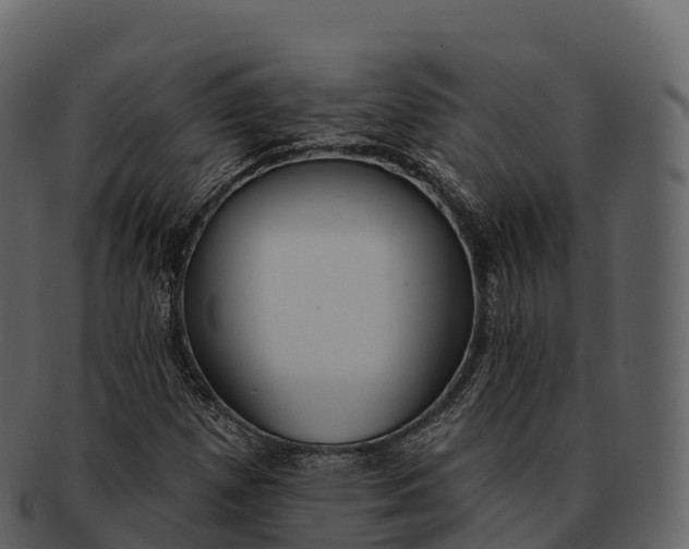 X0000092321257200710051250