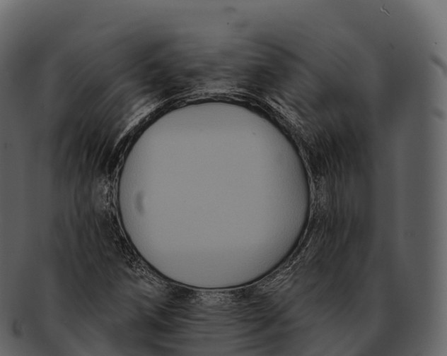 X0000092321258200710051250