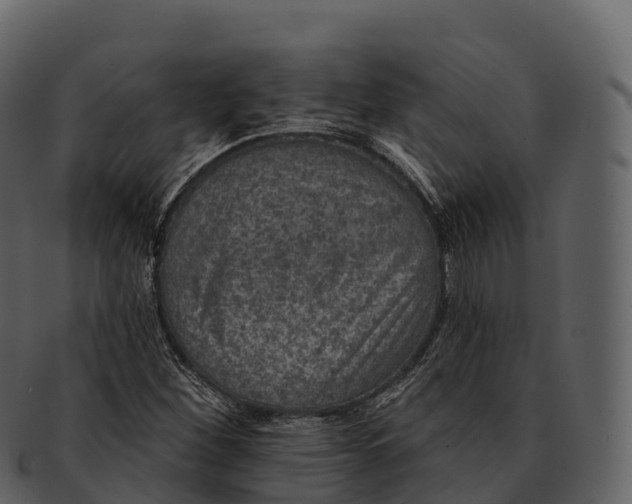 X0000092321260200710051250