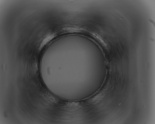 X0000092321261200710051250
