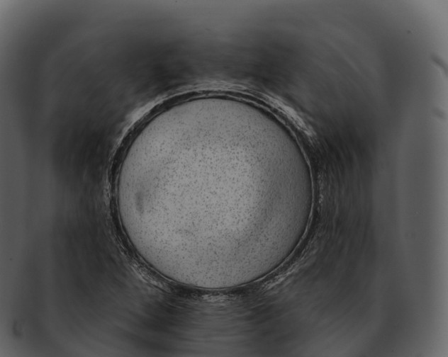 X0000092321264200710051250
