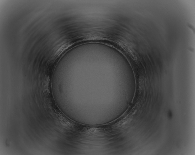 X0000092321265200710051250