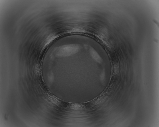 X0000092321266200710051250