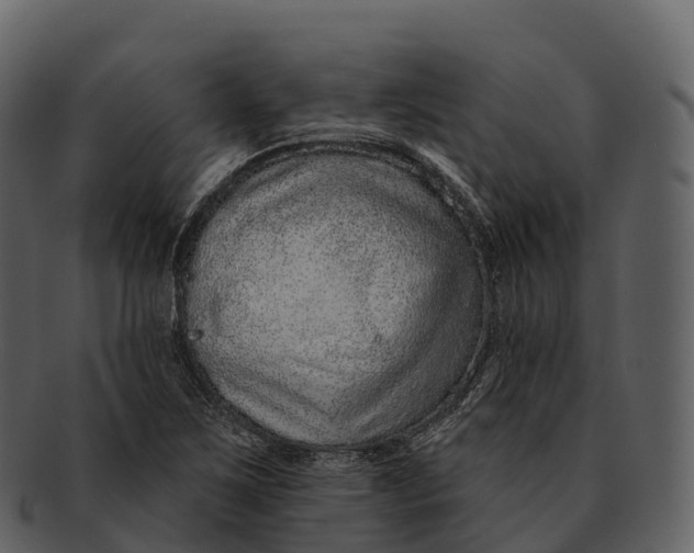 X0000092321267200710051250