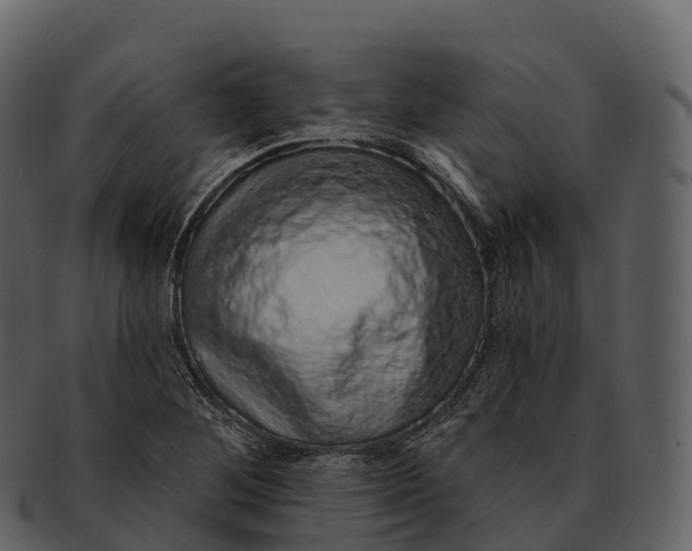 X0000092321268200710051250
