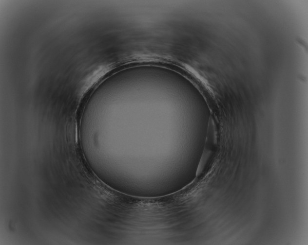X0000092321269200710051250