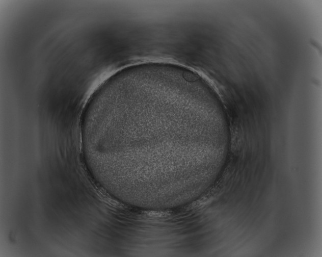 X0000092321271200710051250