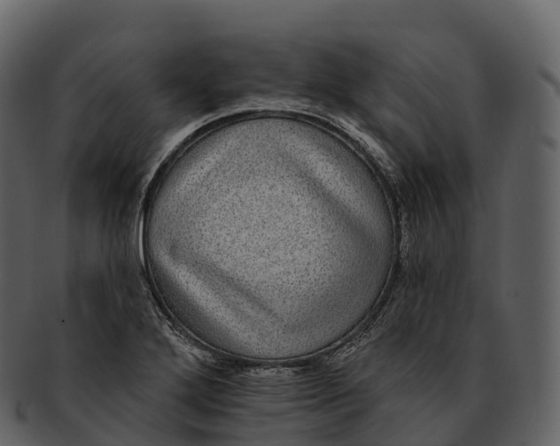 X0000092321272200710051250